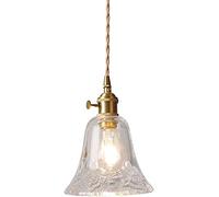 JDHSKCF Vintage Clear Glass Pendant Light Shade Modern Simple Glass Hanging Lamp Kitchen Island Adjustable Chandelier for Dining Room Bathroom Droplight Ceiling Light Fixture Selfless dedication