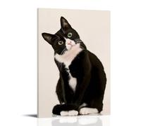 JDHUOXIAO The Thinking Cat Poster Wall Art Aesthetic Cover Poster Design Painting for Living Room Bed Room 16x24inch(40x60cm) Frame-style