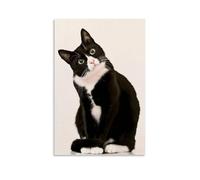 JDHUOXIAO The Thinking Cat Poster Wall Art Aesthetic Cover Poster Design Painting for Living Room Bed Room 08x12inch(20x30cm) Unframe-style