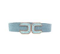 Jdlsppl Women's Braided Thick Belt Fashion Holeless Wide Raffia Holeless Elastic Beach Chunky Belt for Summer Dress, A-sky Blue, X-Small - Large