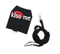 JDNH Small Animal Harness With Leash For Bearded Dragons Noctilucous Reptiles Harness Vest Outdoor Walking Training Clothes Small Animal Walking Gear