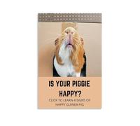 JDyaojiesheng Juliyeh Guinea Pig Poster Wall Art Aesthetic Cover Poster Design Painting for Living Room Bed Room 16x24inch(40x60cm) Unframe-style