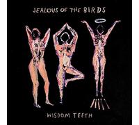 Jealous Of The Birds - Wisdom Teeth [VINYL]