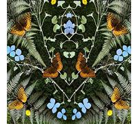 Jean-Michel Blais - aubades [VINYL]