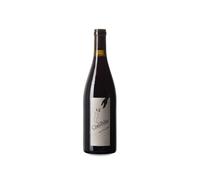 Jean-Yves Péron Côte Pelée 2019