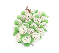 Jeanoko Rattan Ball String Parrots Biting Toy Chewing Toy for Bird Cage Decoration Natural Eco-Friendly 20 Balls & Cowhide Rope (Large)