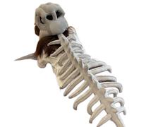 JEATHA 3d Dinosaur Skeleton, Realistic Dinosaur Skeleton Costume,themed Skull Cosplay Props Adults One Size