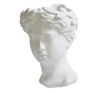 JECOMPRIS Goddess Head Flower Pot Resin Sculpture Planter White Decorative Indoor Desktop Vase for Home Office Garden Use