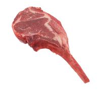 JECOMPRIS Plastic Fake Meat Steak Model 6.29X2.55X0.59" Realistic Food Prop for Photography and Kitchen Display
