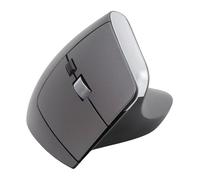 Jectse Ergonomic Wireless Mouse, Silent Click Vertical Mouse, 2.4G Wireless Mouse for PC Laptop, 6 Button Ergonomic Computer Mouse with 800 1200 1600 DPI, for Wins for OS X