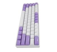 Jectse Mechanical Keyboard, Blue Switch Wide Compatibility Full Key Conflict- 61 Keys USB Wired Keyboard Ergonomic Design RGB Backlight for Office Work