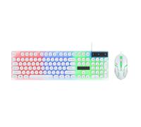 Jectse Wired Keyboard and Mouse Combo, 104 Keys Large Print Light Up Keyboard, USB Silent Wired Backlit Mouse for Wins, PC, Laptop, Play and Plug (White)