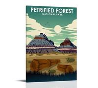JEDSLLA Petrified Forest National Park Retro Travel Posters Canvas Print Aesthetic Wall Art Modern Home Decor for Bedroom Living Room 08x12inch(20x30cm) Frame-style