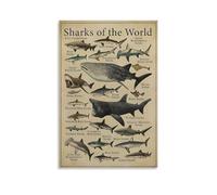 JEDSLLA Shark Types Shark Knowledge Educational Poster Posters Canvas Print Aesthetic Wall Art Modern Home Decor for Bedroom Living Room 12x18inch(30x45cm) Unframe-style