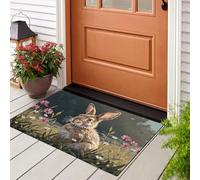 JEDTAKCT Springtime Rabbit Grassland Door Mat Indoor, Non-Slip Dirt Trapper Floor Mats For Back Front Door, Greenish-Brown Easter Animal Carpet Rug Washable Entrance Rug Doormat 80X120Cm Decorations