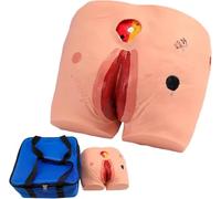 JeeKoudy Advanced Stage Decubitus Sore Training Model, 4 Stage Senior Pressure Ulcers Care Model, Pressure Sore Simulator Nursing Model Decubitus Wound Care Model for Medical Training Practice Model