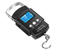 Jeenuuder 50Kg x 0.01Kg Electronic Digital Handing Mini Pocket Scale 10G Portable Luggage Travel Fishing Scale Kitchen Hook Balance Weighing