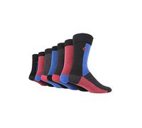 Jeff Banks Womens Pack of 7 Black Jacquard Socks Black