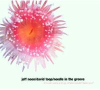 Jeff Noon & David Toop - Needle in the Groove
