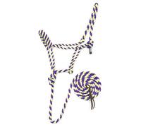 Jeffers Braided Mule Tape Halter with 10 ft Lead Rope for Horses 750-1200 lb - Full Size Adjustable Knot Horse Halter, Equestrian Training Tack for Riding, Western, Stable - Purple & Lime Green