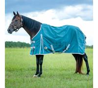 Jeffers Economy 600 Denier Standard Neck Turnout Blanket for Horses 78", Waterproof Breathable Medium Weight 240g Polyfill, Horse Tack Accessories for Stable, Outdoor, Riding, Winter - Teal Grey