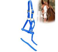 Jeffers Equine Nylon Weanling Halter for Foals, Ponies, Miniature Horses - Adjustable 2 Ply 3/4" Webbing with Brass Plated Hardware - Lightweight for Training, Grooming, & Farm Use - Royal Blue