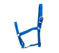 Jeffers Equine Turnout Nylon Halter for Horses, Royal Blue - 2 Ply Durable Nylon Webbing, Adjustable Headcollar w/Metal Hardware, Equestrian Horse Halter, Stable & Ranch Use - 2 Year Old 600-900 lbs