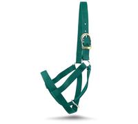 Jeffers Livestock Premium Nylon Calf Halter (250-450 lb) - Heavy Duty 2-Ply 1" Adjustable Calf Halter for Calves, Durable Farm & Ranch Accessories for Livestock Handling, Training & Show - Forest