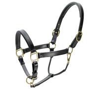 Jeffers Paris Padded Leather Horse Halter with Throat Snap, Full Size - Adjustable Double Buckle Crown with Throat Snap, Triple Stitched Noseband for Cheek & Nose, English Equestrian Tack - Black