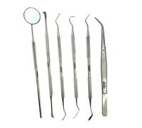 Jeffers Pet 6 Piece Stainless Steel Dental Tool Kit for Dogs & Cats - Tooth Scaler, Scraper, Probe Pick, Mirror, Tweezers & Stain Remover - Pet Grooming Tools, Teeth Cleaning Set, Hygiene Accessories