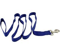 Jeffers Pet Dog Leash 5/8" W x 6'L - Heavy Duty Nylon Lead for Small Medium Large Dogs, Training Walking Leash for Pets, Durable Safety Strap for Outdoor, Indoor, Crate, House Use - Royal Blue