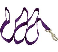 Jeffers Pet Dog Leash 6 Ft - Heavy Duty Nylon Lead for Small Medium Large Dogs, Training Walking Leash for Pets, Durable Safety Strap for Outdoor, Indoor, Crate, Kennel, House Use - Purple