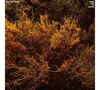 Jefre Cantu-Ledesma - Tracing Back The Radiance [VINYL]