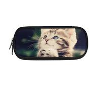 Jeiento Cute 3D Cat Pencil Case for Girls Pencil Box with 3 Compartments Stationery Case for Student College Middle High School Supplies