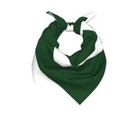 JEJEA Flag Of Pakistan Print Large Bandana, 22" Satin Square Scarf, Versatile Headband & Neck Accessory For Men Women