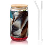 JEJEA Goat Glass Cups with Bamboo Lids and Straws,Coffee Cup,Can Shaped Cups,Glasses,Cocktail, Transparent