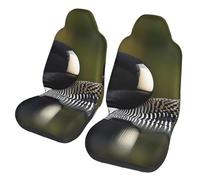 JEJEA Loon Nature Bird Print Universal Car Seat Protector, 2 Pcs Universal Non-Slip Car Accessories Seat Cover For Truck Suv Sea