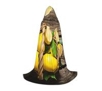 JEJEA One Basket Lemons Print Halloween Cosplay Christmas Party Outfits Hooded Wizard Robe Halloween Cloak Medieval Renaissance