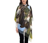 JEKYDOSD Cute Donkeys Print Tassel Scarf For Women Pashmina Soft Cashmere Scarf, Black, One Size