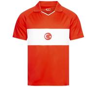 JELEX Retro History Men's Jersey with Embroidered Logo and Short Sleeves, Nostalgia Design for Football Fans Ideal for Collectors, Turkey, L