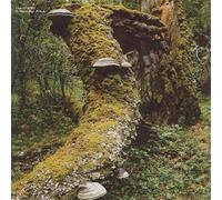 Jelinek, Jan - Kosmischer Pitch (Reissue) [VINYL]