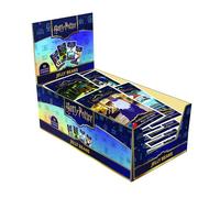 Jelly Belly - Harry Potter 10 Flavours Bertie Botts Bean Bags, 24x28g Bags