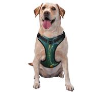 Jelly Fish Pattern Dog Harness - Lightweight,Soft,Adjustable Small Harness and Leash Set, Suitable for Puppy Small and Medium-Sized Dog-X-Large