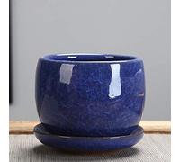 Jelly Fleshy Plants Ceramic Pot Ice Cracked Glazed Flower Pot Succulent Plant Pot Cactus Bonsai Pot Flower Pot Container Planter Garden Decoration,Yellow,13 * 11Cm (Blue 13 * 11cm)