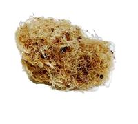 Jelly Seaweed, Dried Sea Moss, Natural Seaweed for Dessert,100g