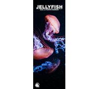 Jellyfish 2026 Wall Calendar, 12-Month Slim Format, Made in England