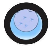 Jellyfish Aquarium, 4.8 Gallon Circular Fish Tank Aquarium with 16 Colors LED Light, Remote Control Jelly Fish Tank for Home & Office Decor