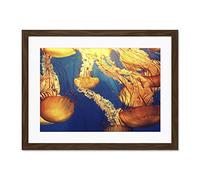 Jellyfish Group Underwater Ocean Large Art Print Poster Wall Decor 18x24 inch Supplied Ready To Hang With Included Mount Brackets