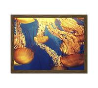 Jellyfish Group Underwater Ocean Large Framed Art Print Poster Wall Decor 18x24 inch