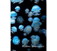 Jellyfish Happy Birthday Card 125mm x 178mm Including Envelope GC068